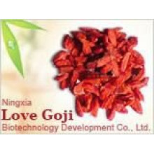 Amostra Grátis 750granule / 50g Goji Berry Com Melhor Preço